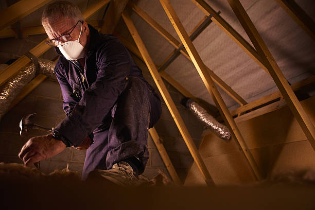 Best Residential Insulation in Point Mackenzie, AK